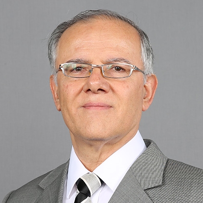 Samir Issa Bloukh